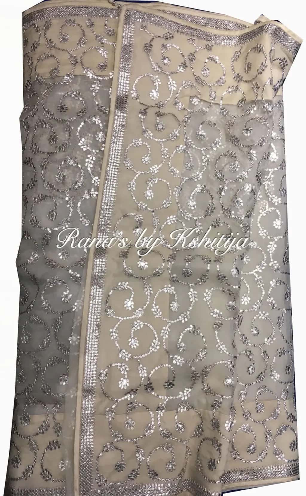 Light Beige Organza Saree with exclusive Gota jaal design - Image 1